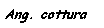 Casella di testo: Ang. cottura