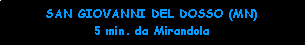 Casella di testo: SAN GIOVANNI DEL DOSSO (MN) 5 min. da Mirandola